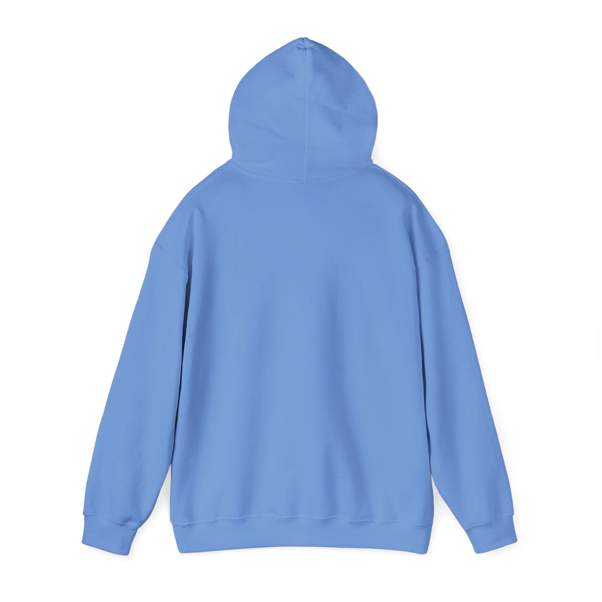Man of God Christian Hoodie | Faith Graphic Hoodie