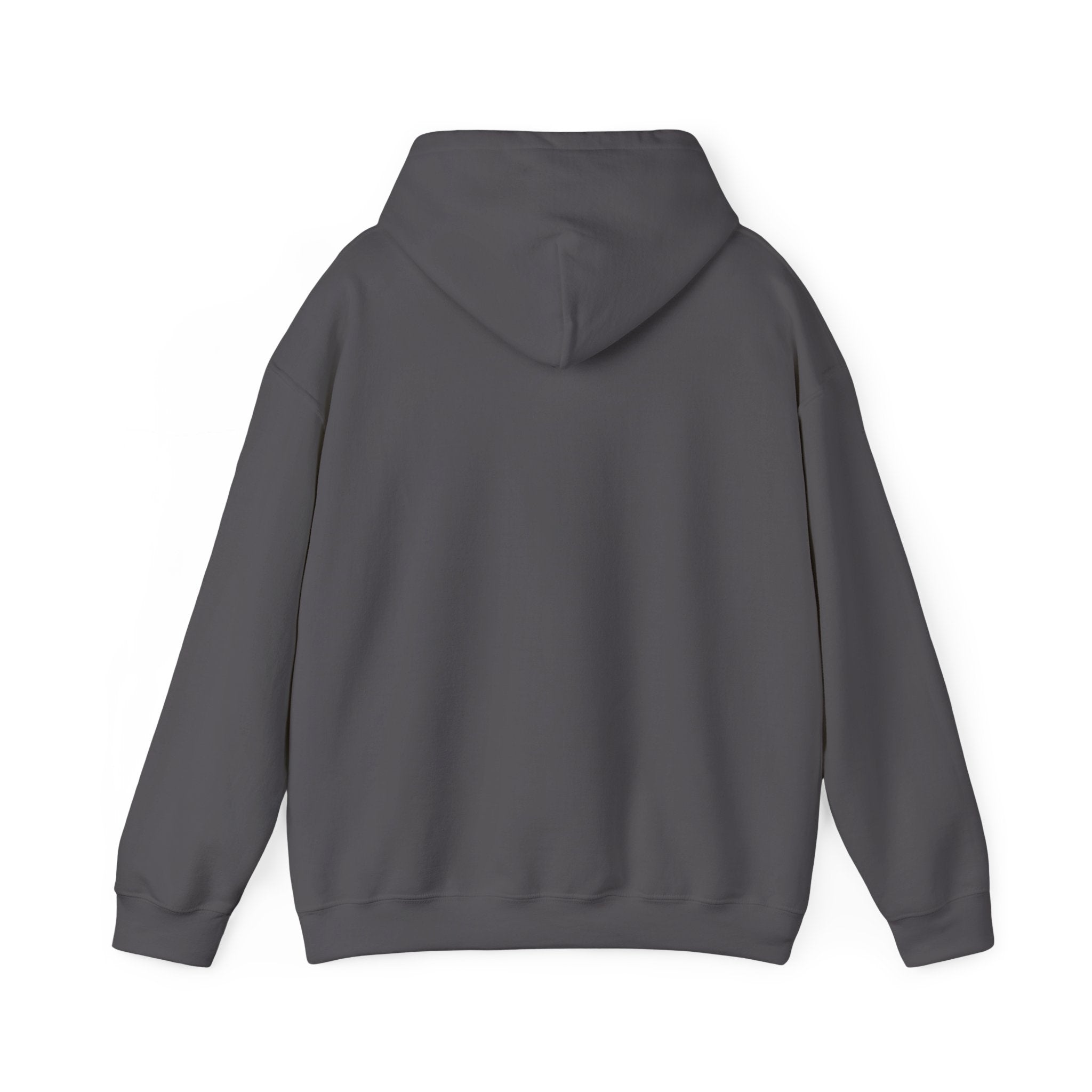 Man of God Christian Hoodie | Faith Graphic Hoodie