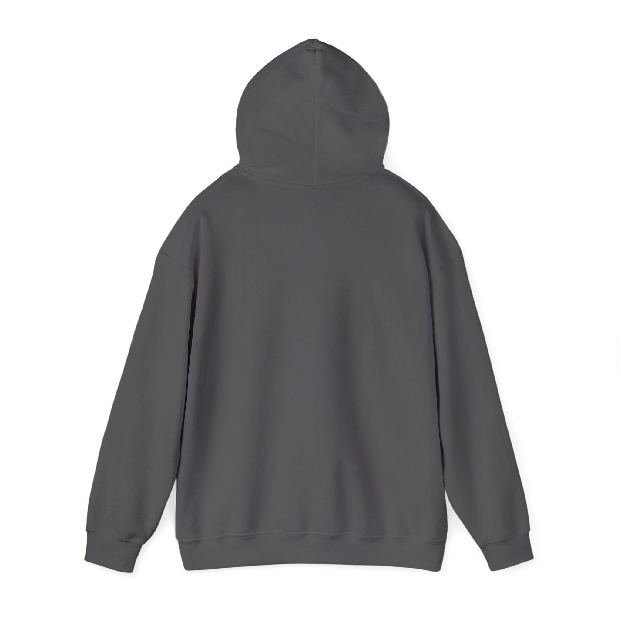 Man of God Christian Hoodie | Faith Graphic Hoodie