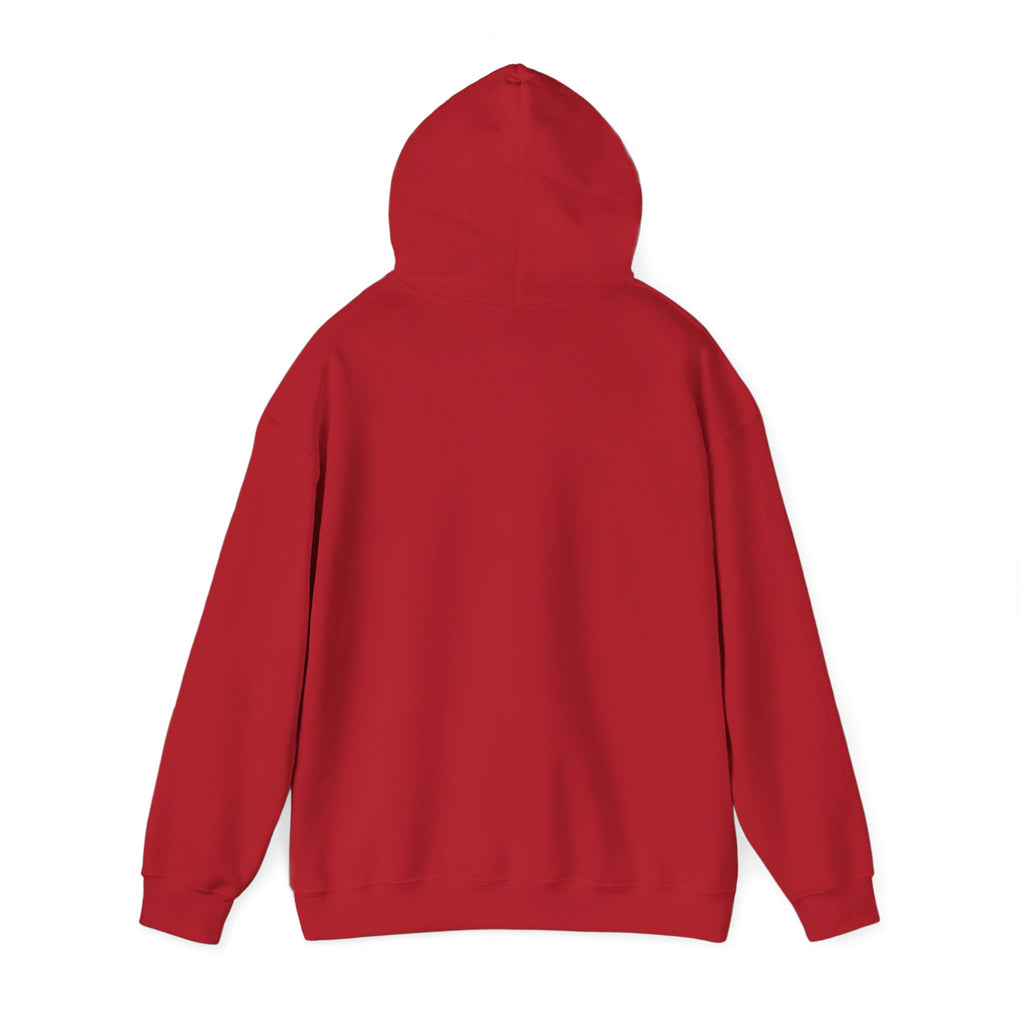 Man of God Christian Hoodie | Faith Graphic Hoodie