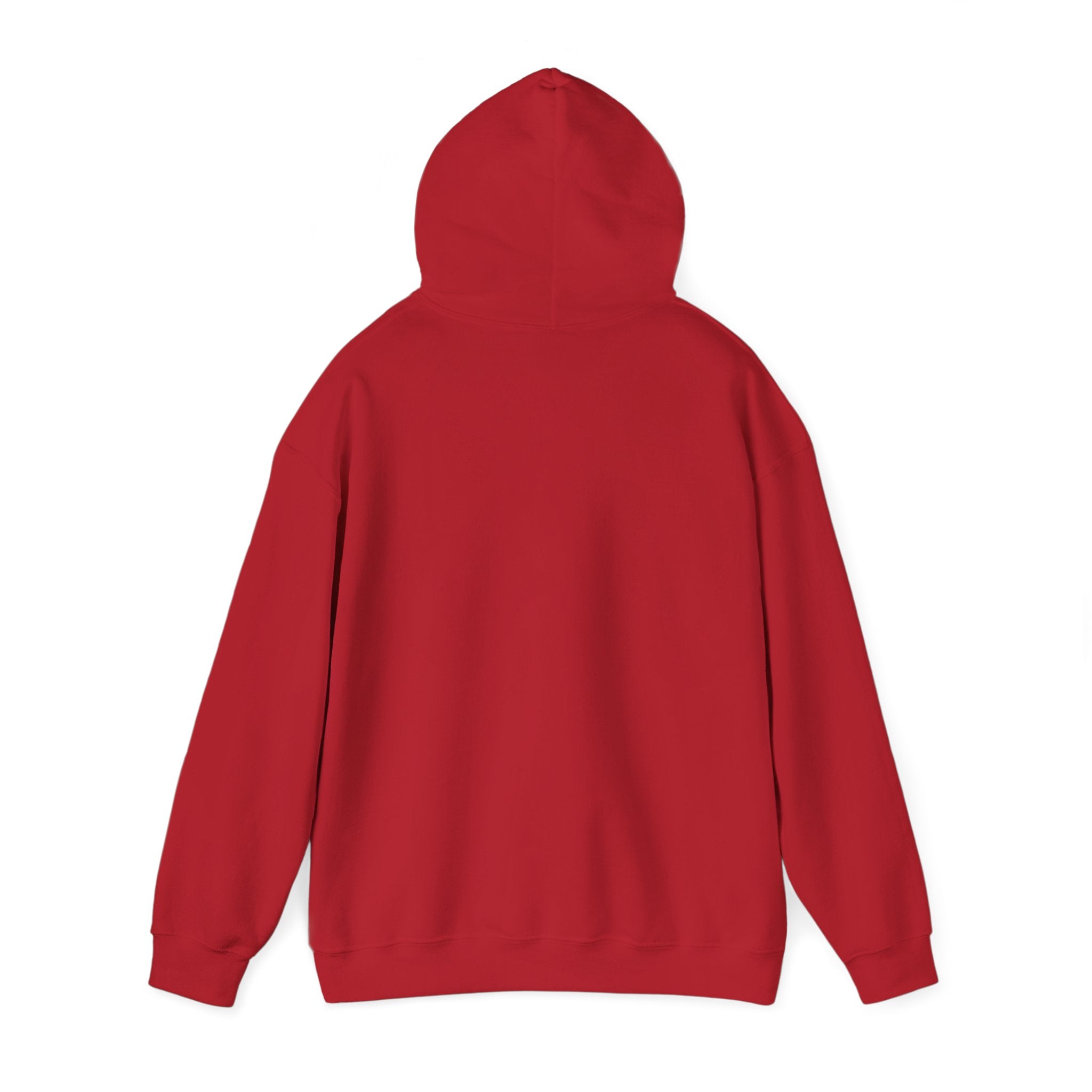 Man of God Christian Hoodie | Faith Graphic Hoodie